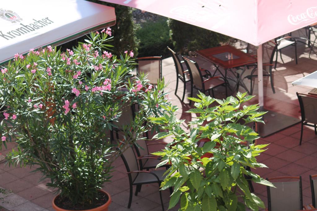Parkhotel Altes Kaffeehaus Wolfenbuettel Luaran gambar